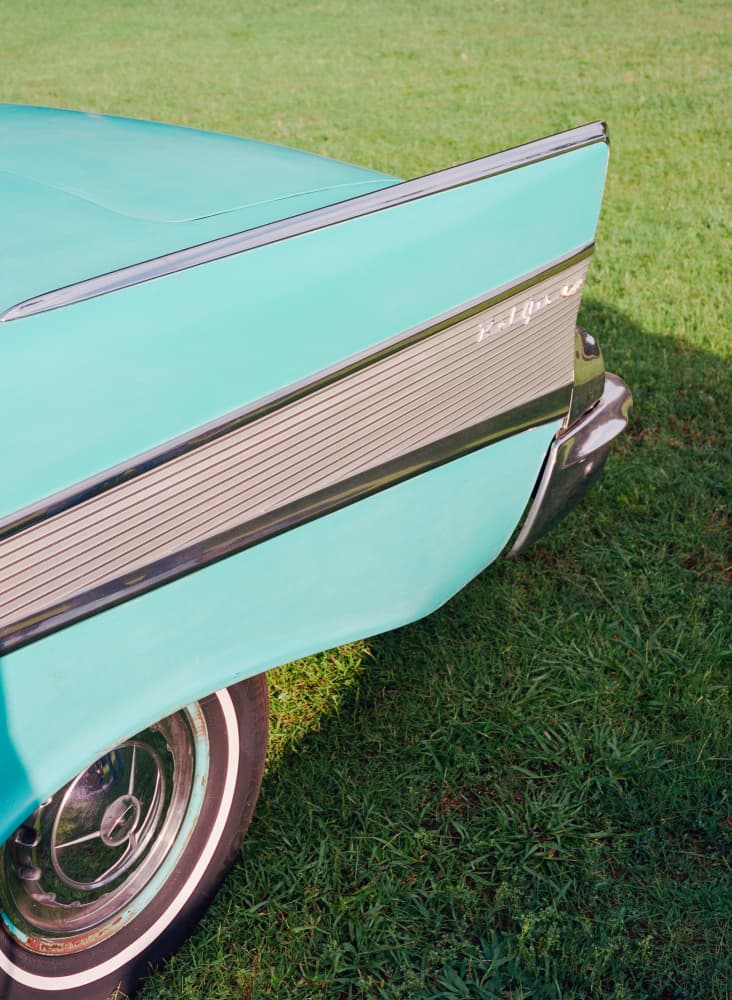 Classic Teal Tailfin by Bethany Young — canvas wall art