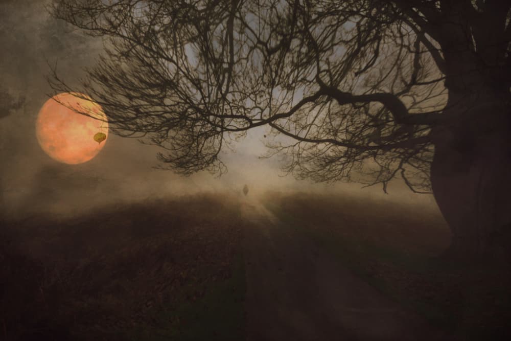 Misty Moonlit Path by Robert Fabrowski — canvas wall art