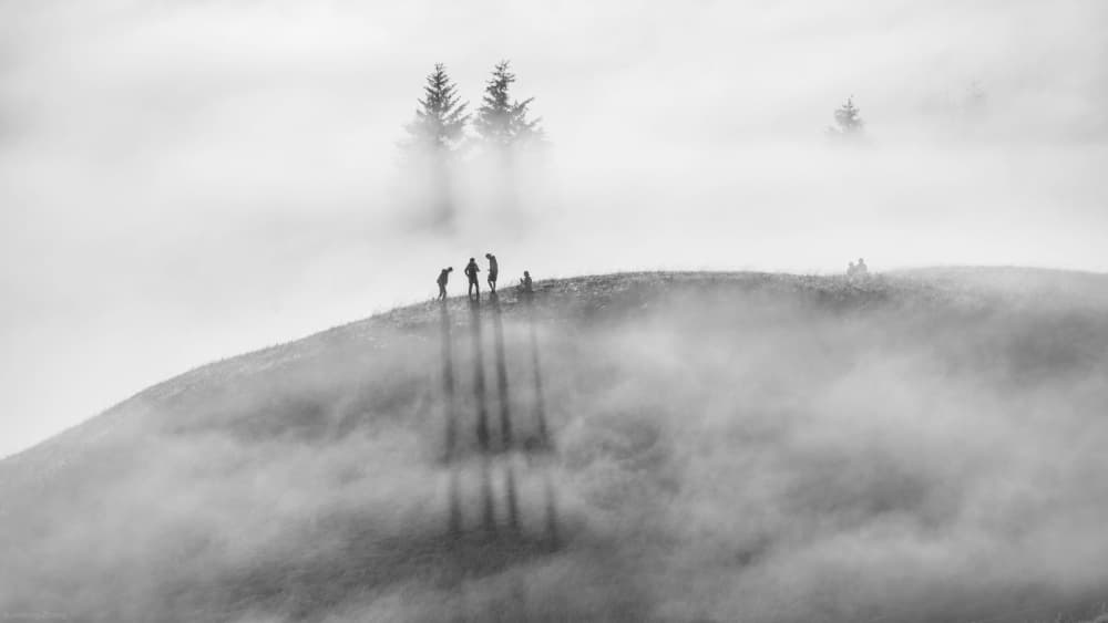 Long Shadows in Fog by Johnny Zhang — canvas wall art