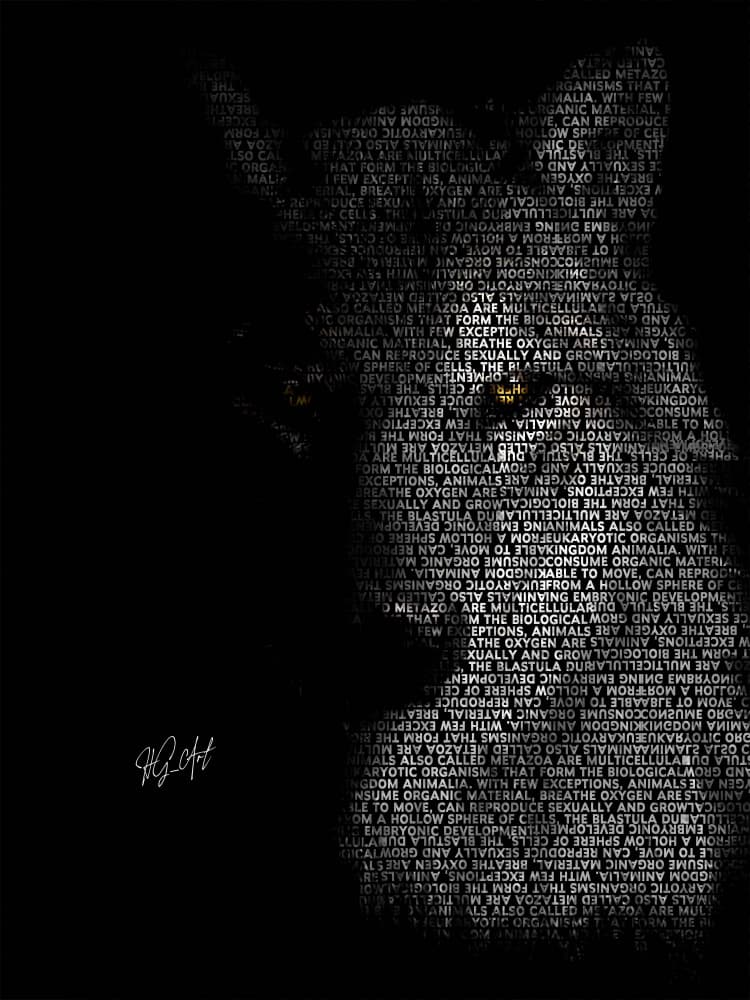 Glowing Text Wolf by Ojenike Oladapo — canvas wall art