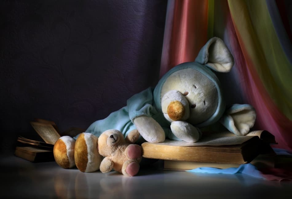 Cozy Plush Toys and Books by Victoria Glinka — canvas wall art