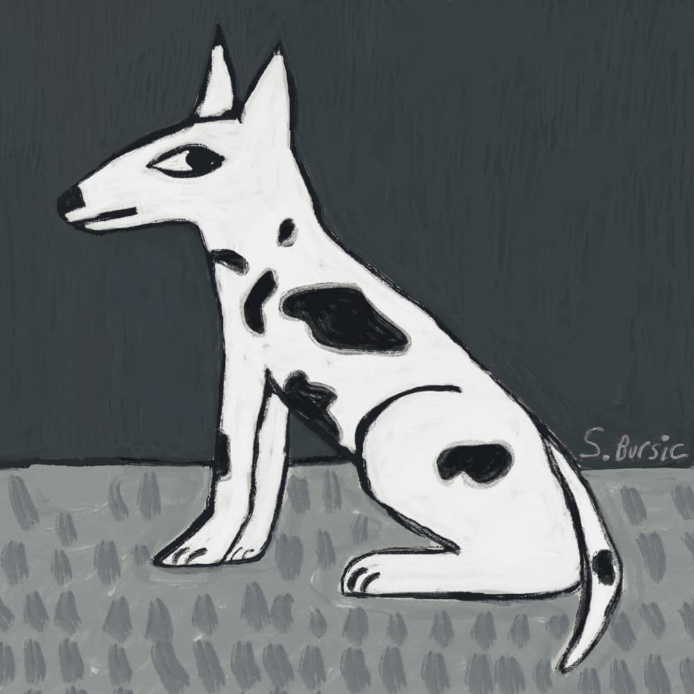 Sitting Spotted Dog by Sharyn Bursic — canvas wall art