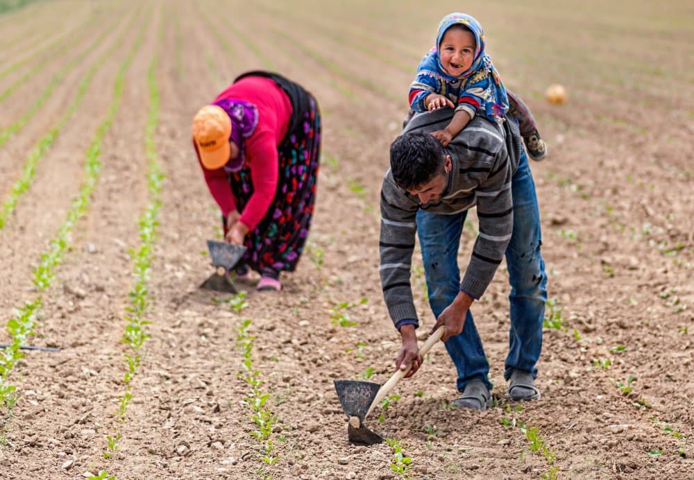 Family Field Work by durmusceylan — canvas wall art
