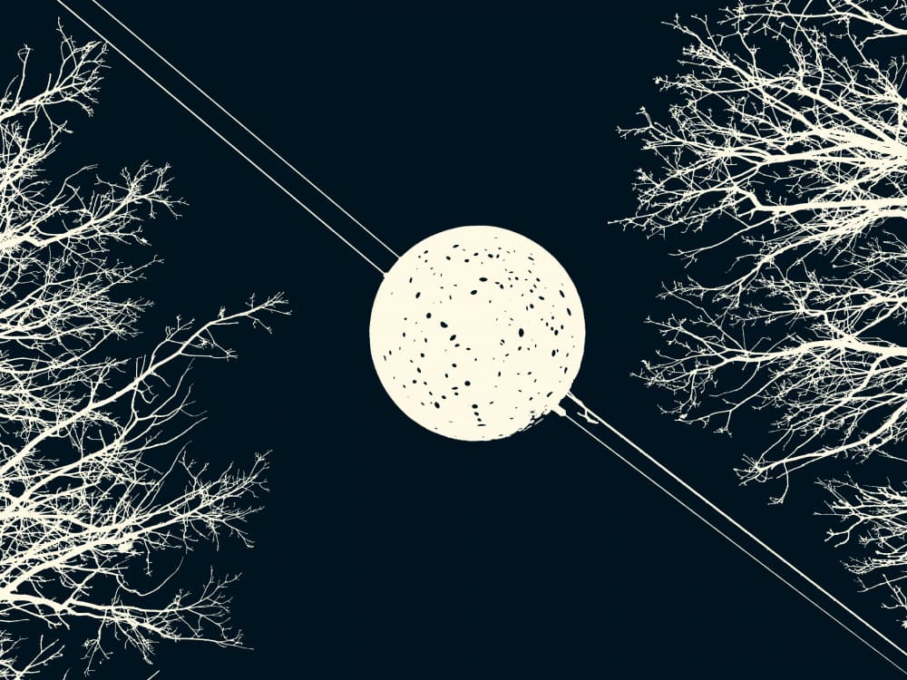 Moonlit Winter Branches by Petr Strnad — canvas wall art