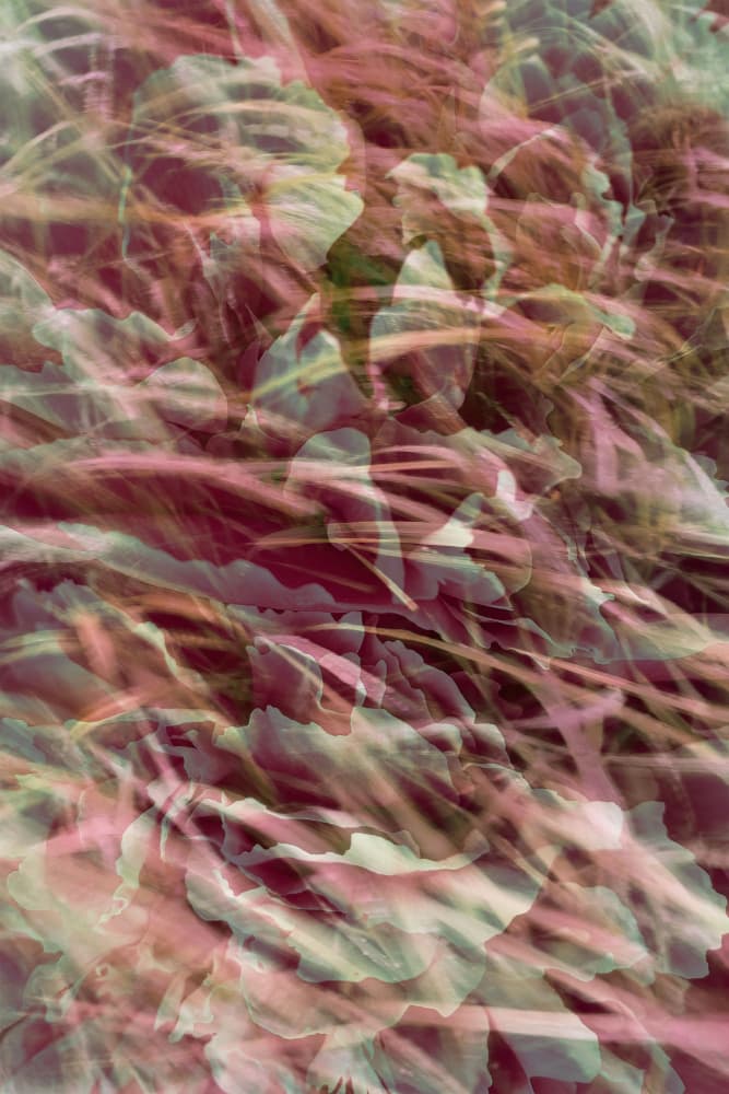 Spring #22.png by Pelin Atilla — canvas wall art