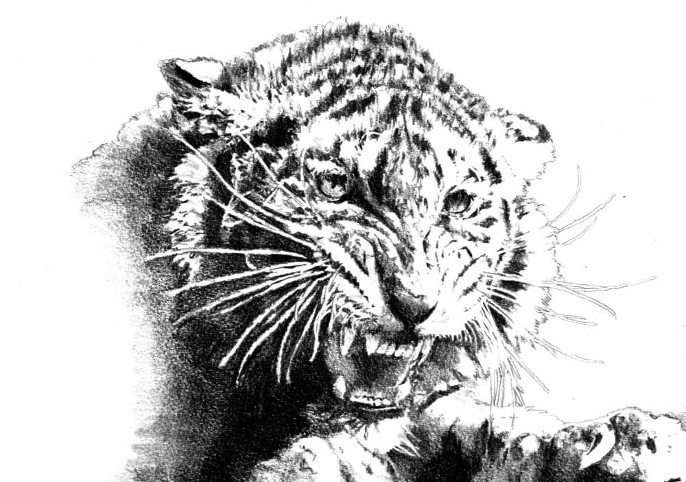 Roaring Tiger by Kulik — canvas wall art