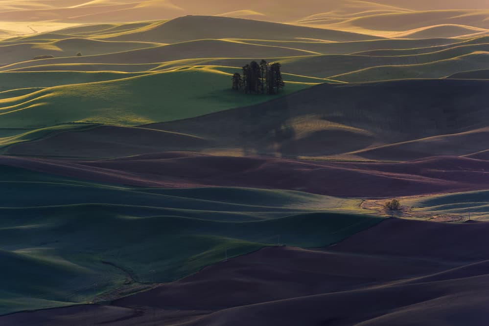 Hills in Golden Light by 李从军 / Austin Li — canvas wall art