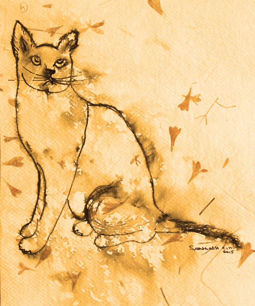 Thoughtful Sepia Cat by Santhosh ch — canvas wall art