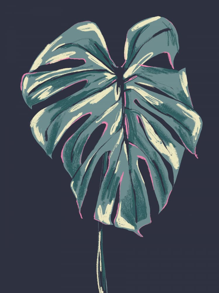 Dark Tropical Monstera Leaf by Francesco Gulina — canvas wall art