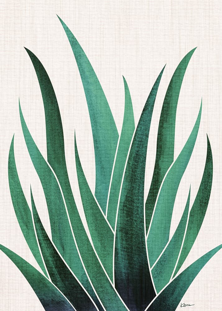 Desert Agave Cactus by Kristian Gallagher — canvas wall art