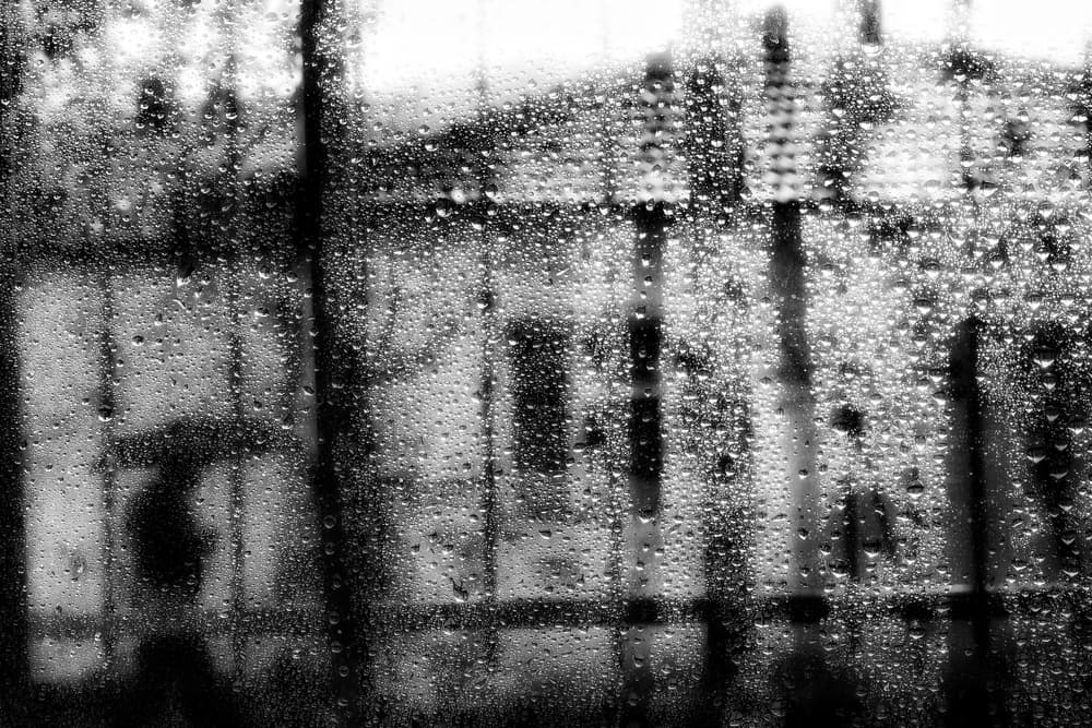 Rainy City Window by Ali Ayer — canvas wall art