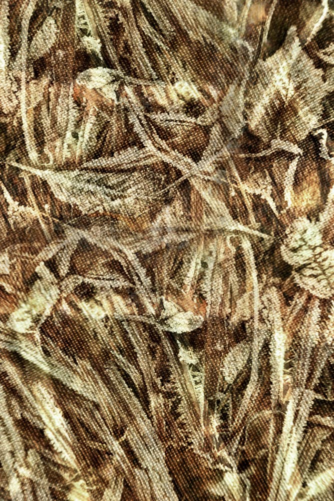 Woven Earth by Christina Sillen — canvas wall art