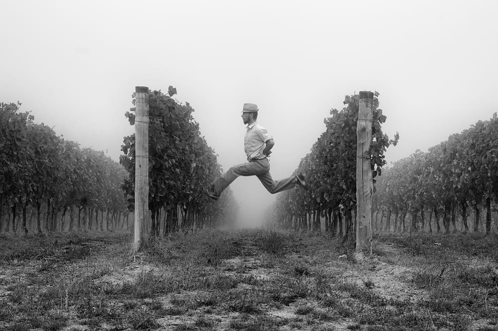 Leaping Man Misty Vineyard by Carlo Ferrara — canvas wall art
