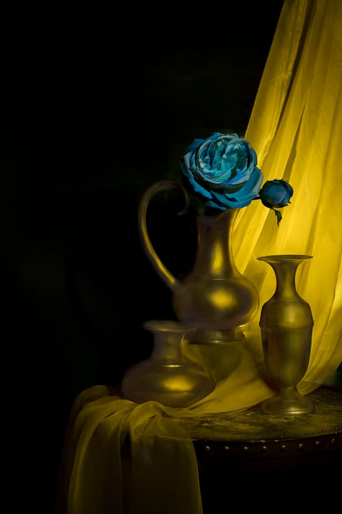 Opulent Blue Rose Still Life by Lydia Jacobs — canvas wall art