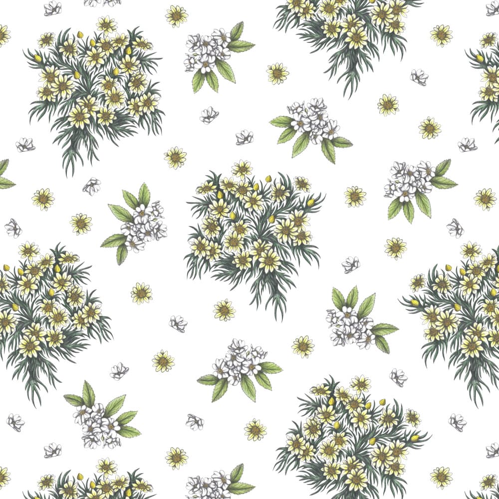 Botanical Daisy Bouquets by Cecilia Battaini — canvas wall art