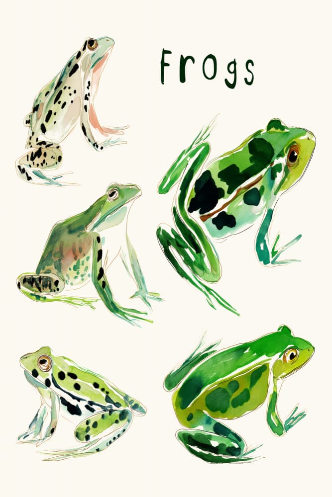 Vibrant Watercolor Frogs by Treechild — canvas wall art