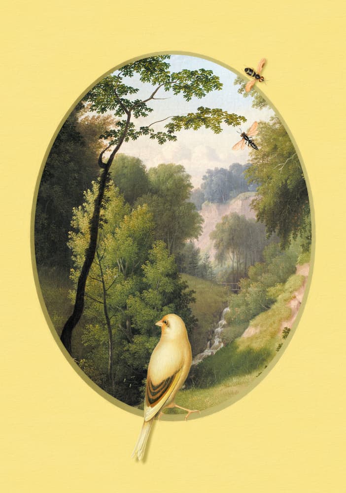 Serene Valley Bird by Marja van den Hurk — canvas wall art