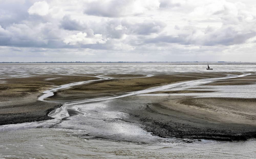 Vast Tidal Landscape by Wilma Wijers Smeets — canvas wall art