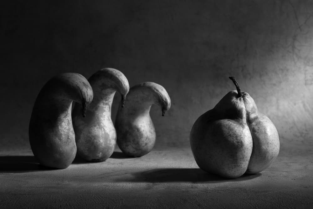 Monochromatic Pear Forms by Victoria Glinka — canvas wall art