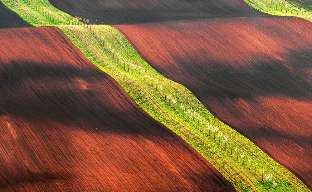 Flowing Field Patterns by Jan Šmíd Master QEP — canvas wall art