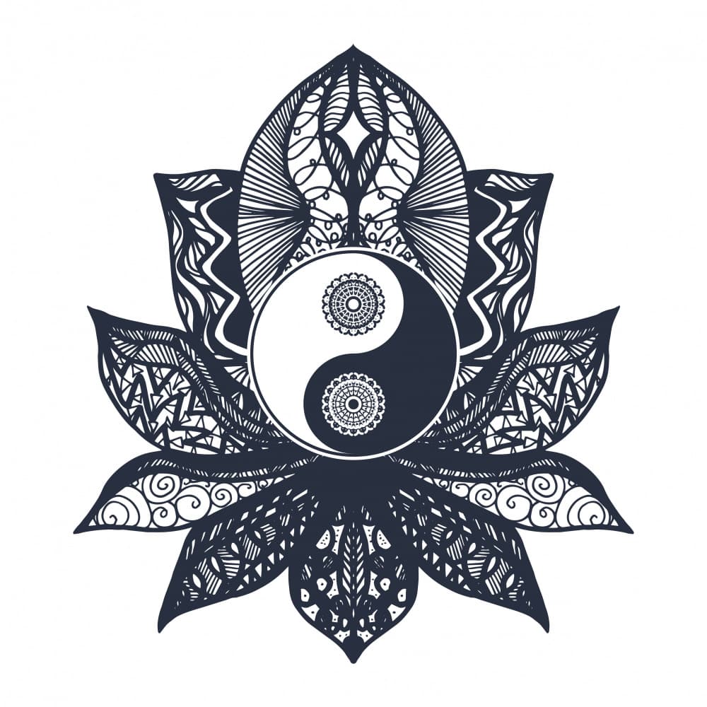 Yin Yang Lotus Flower by Marika Barsrsind β canvas wall art