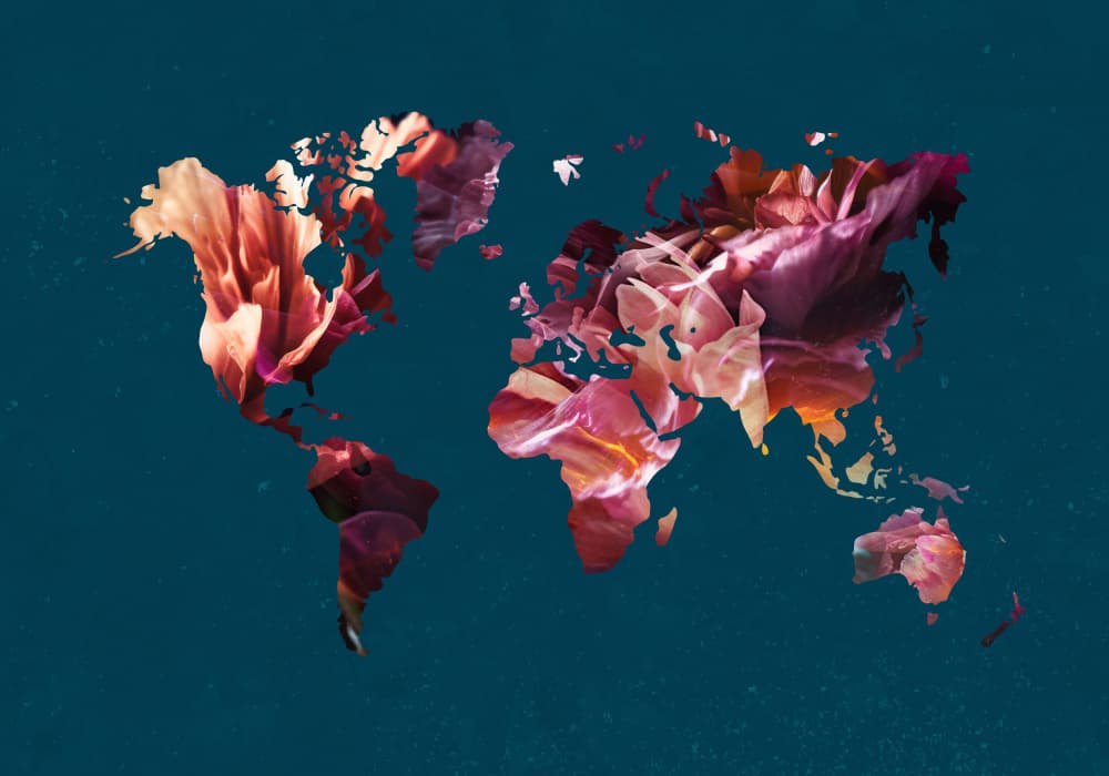 Floral World Map by Sarah Manovski — canvas wall art