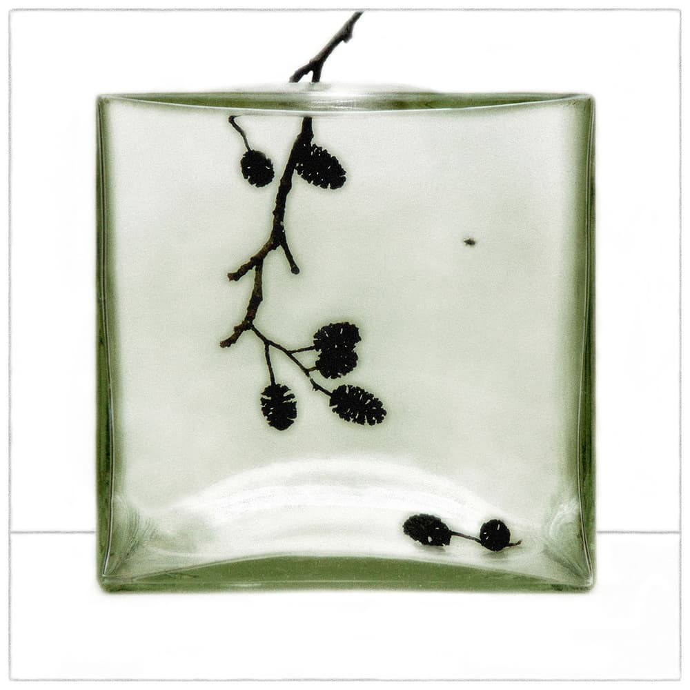 Serene Branch In Glass by Huib Limberg — canvas wall art