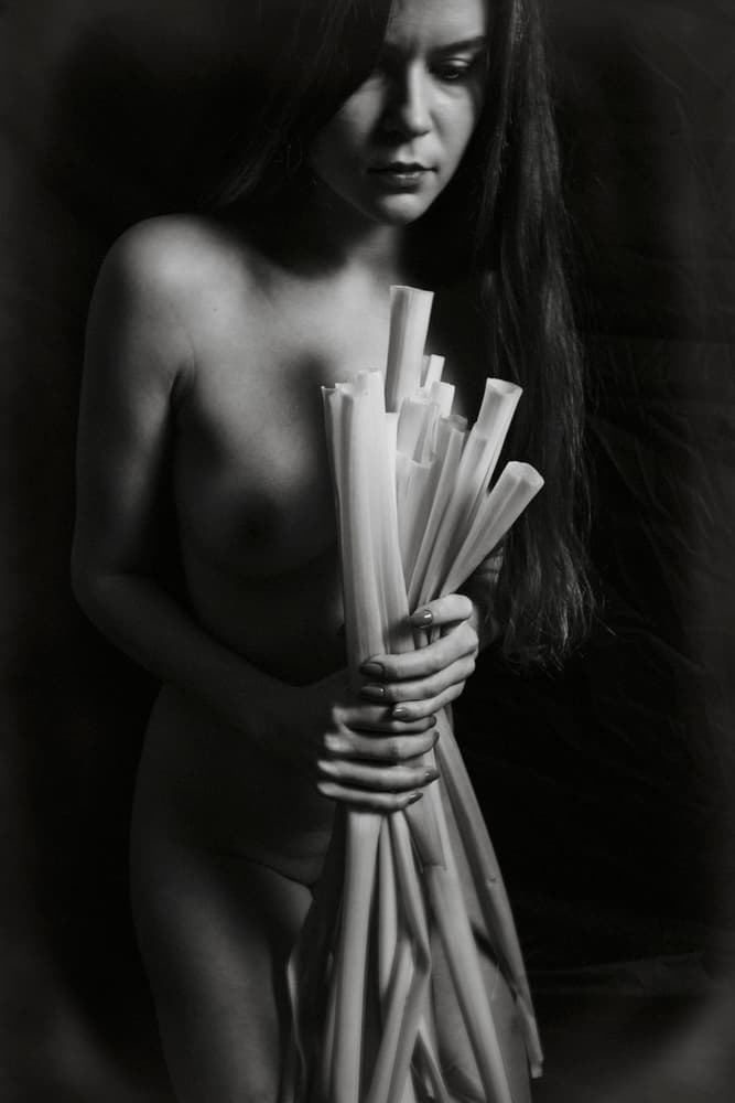 Bare Woman With Stalks by Bogdan Bouşcă — canvas wall art