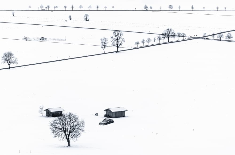 Snowy Countryside Serenity by Wenjin Yu — canvas wall art