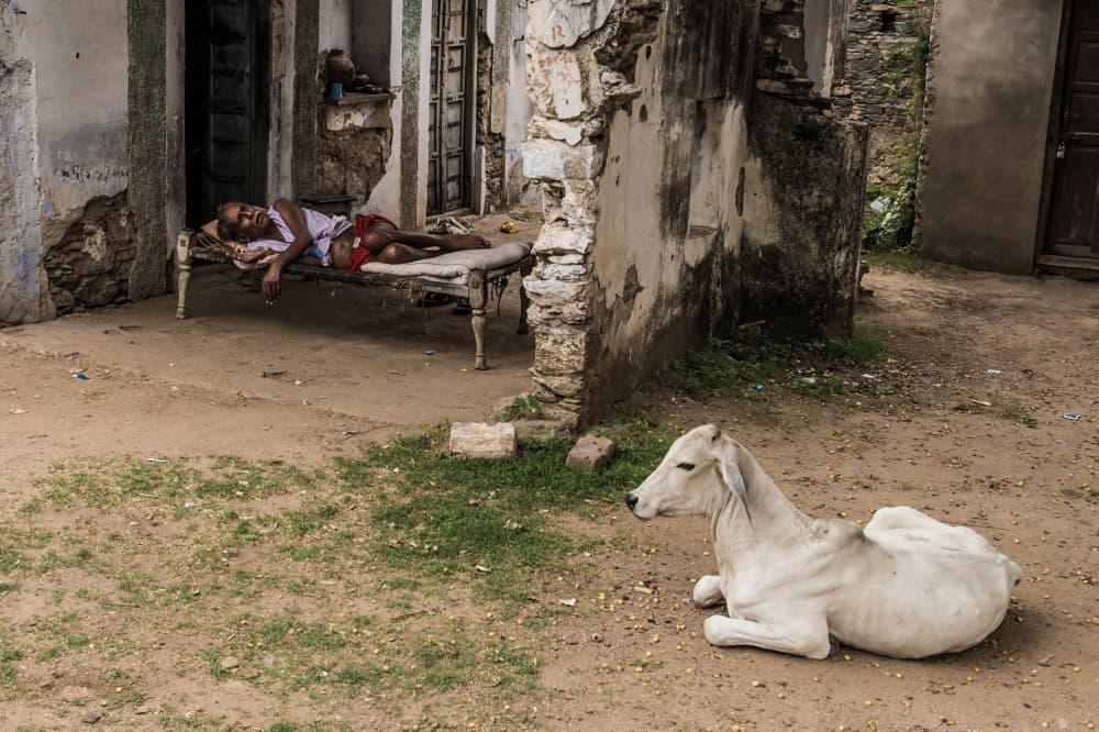 Nap Time by Mohammed Alnaser — canvas wall art