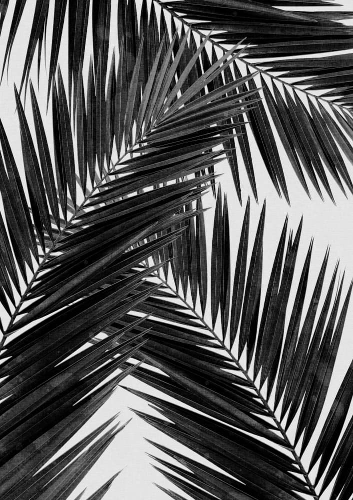 Tropical Frond Pattern by Orara Studio — canvas wall art