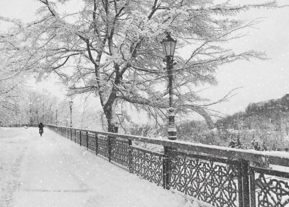 Snowy Path Solitude by Alexander Kiyashko — canvas wall art