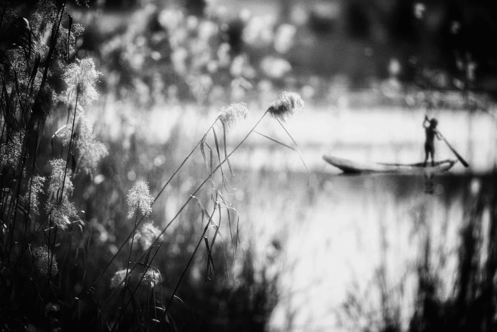 Serene Water Paddler by Charlaine Gerber — canvas wall art