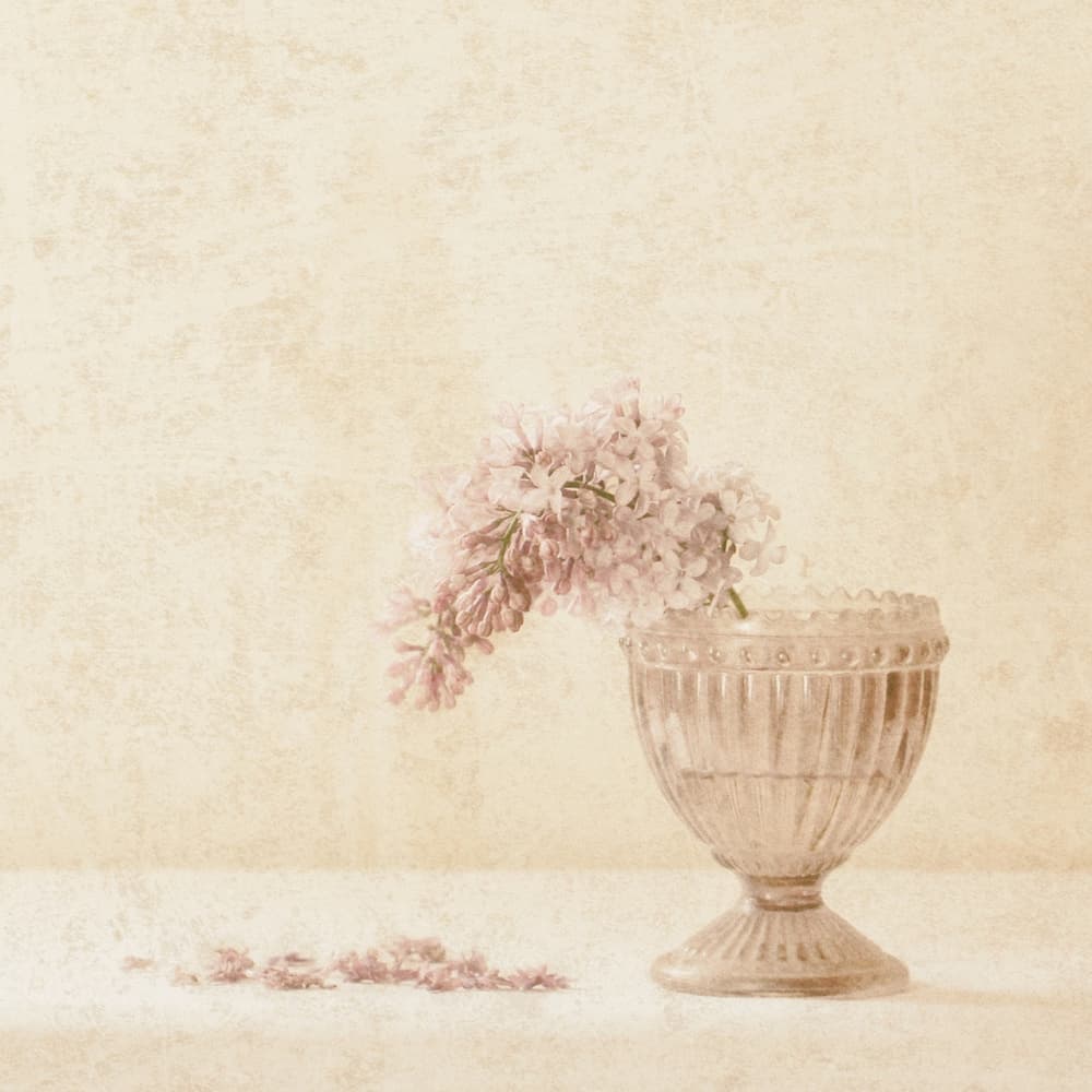 Vintage Lilac Vase by Delphine Devos — canvas wall art