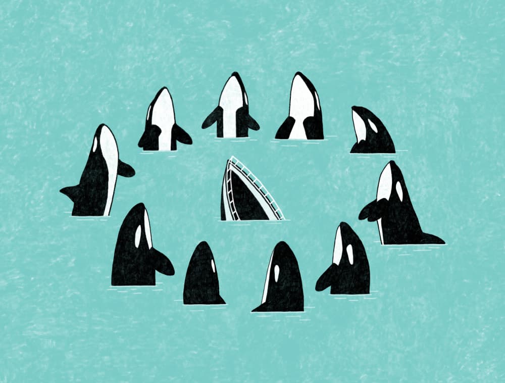 Orcas Surround Sinking Ship by Martina Scott — canvas wall art