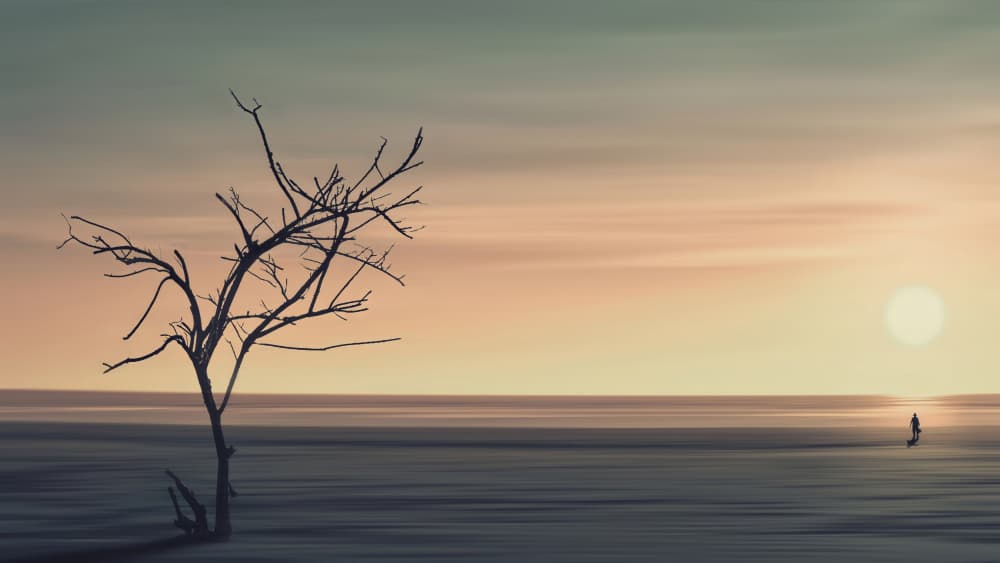 Lone Tree Sunset by MingLun Tsai (蔡明倫) — canvas wall art