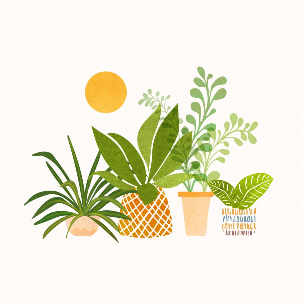 Happy Tropicals Sq by Kristian Gallagher — canvas wall art