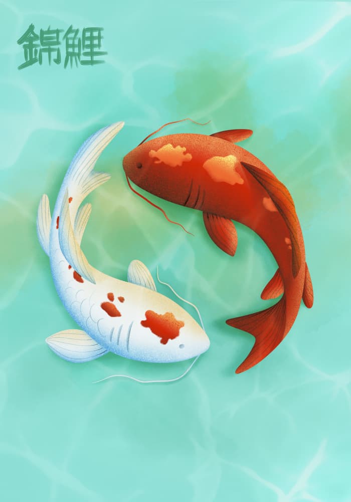 Yin Yang Koi Fish by Fadil Roze — canvas wall art