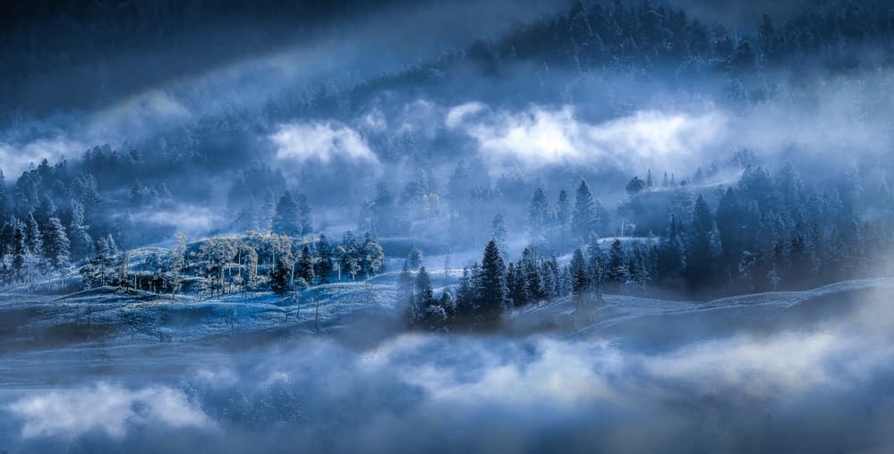 Misty Winter Forest by Kenneth-Wei Zeng — canvas wall art