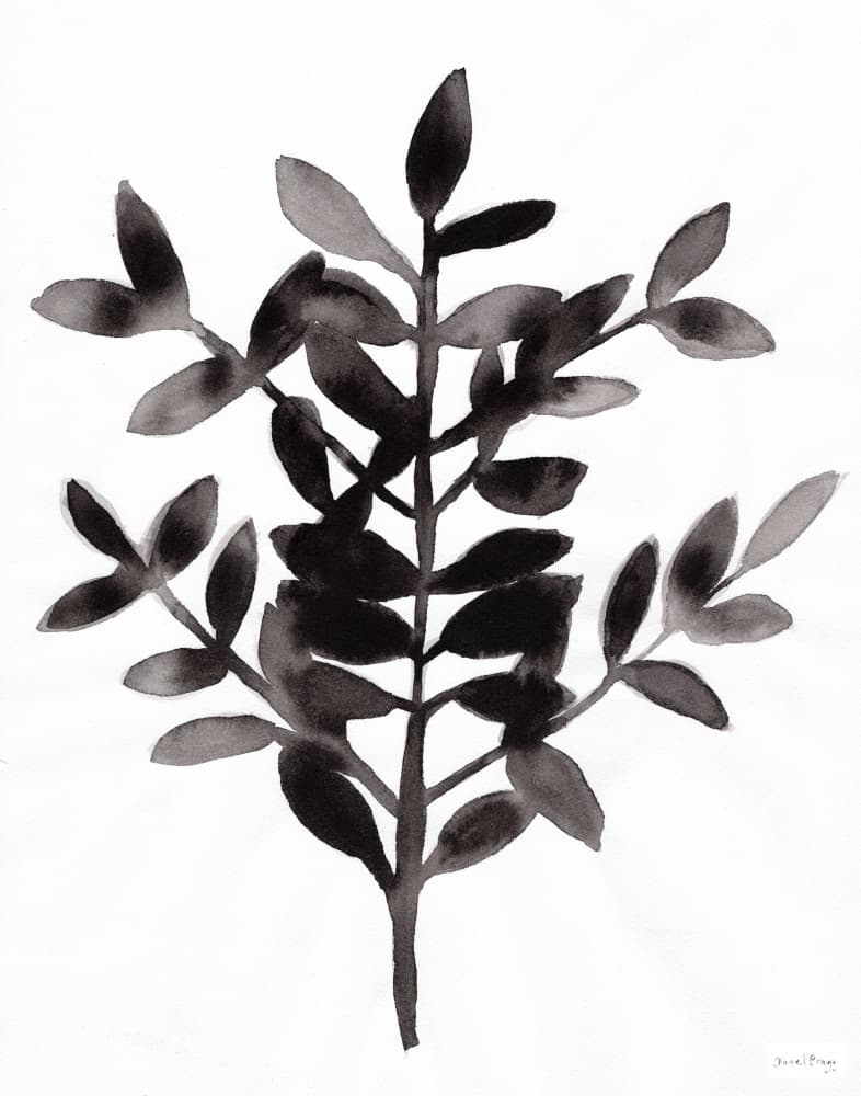 Minimalist Botanical Branch by Janel Bragg — canvas wall art