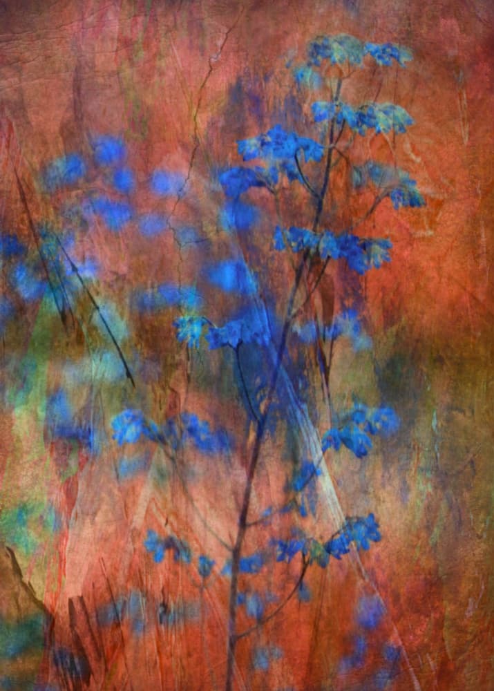 Textured Blue Floral Dream by Delphine Devos — canvas wall art