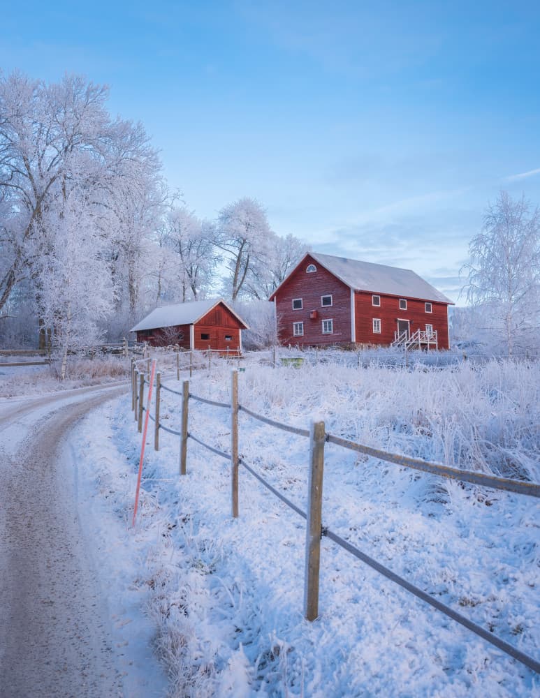 Snowy Red Barn Morning by Christian Lindsten — canvas wall art