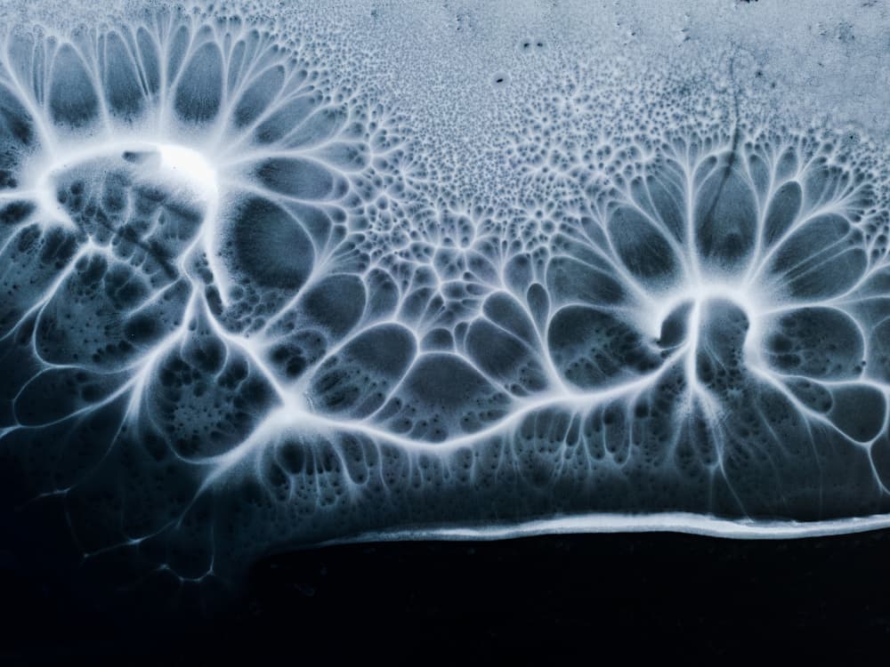 Abstract Frost Network by Leszek Paradowski — canvas wall art