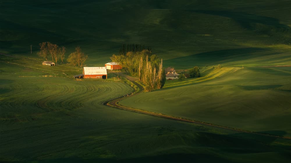 Green Farmstead Morning by James Lu — canvas wall art