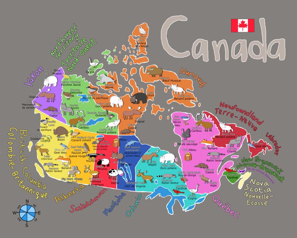 Canadian Animal Map by Carla Daly — canvas wall art