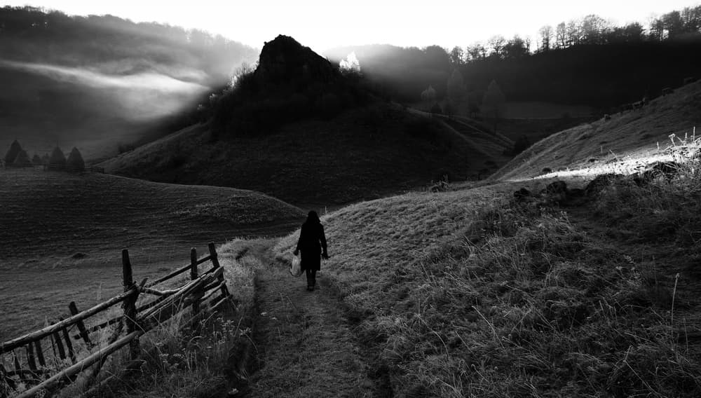 Lone Figure Foggy Path by Julien Oncete — canvas wall art