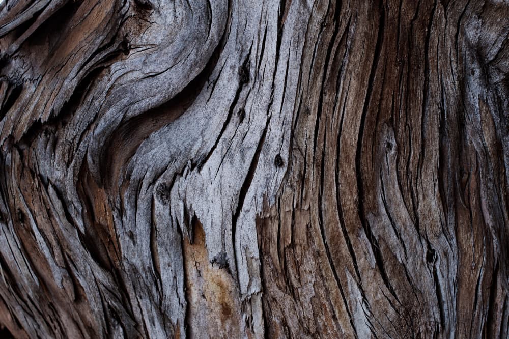Weathered Wood Detail by Tim Mossholder — canvas wall art