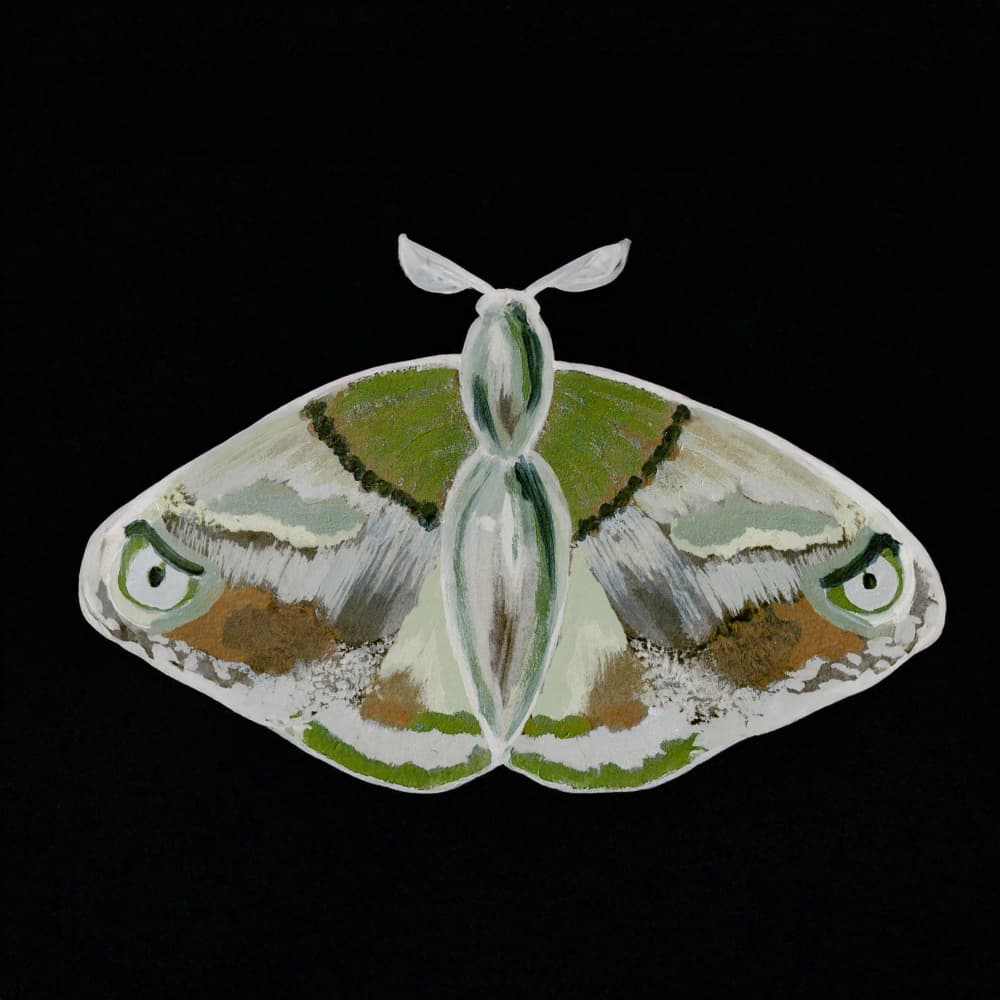 Striking Green Moth by Lori Ann Folz — canvas wall art