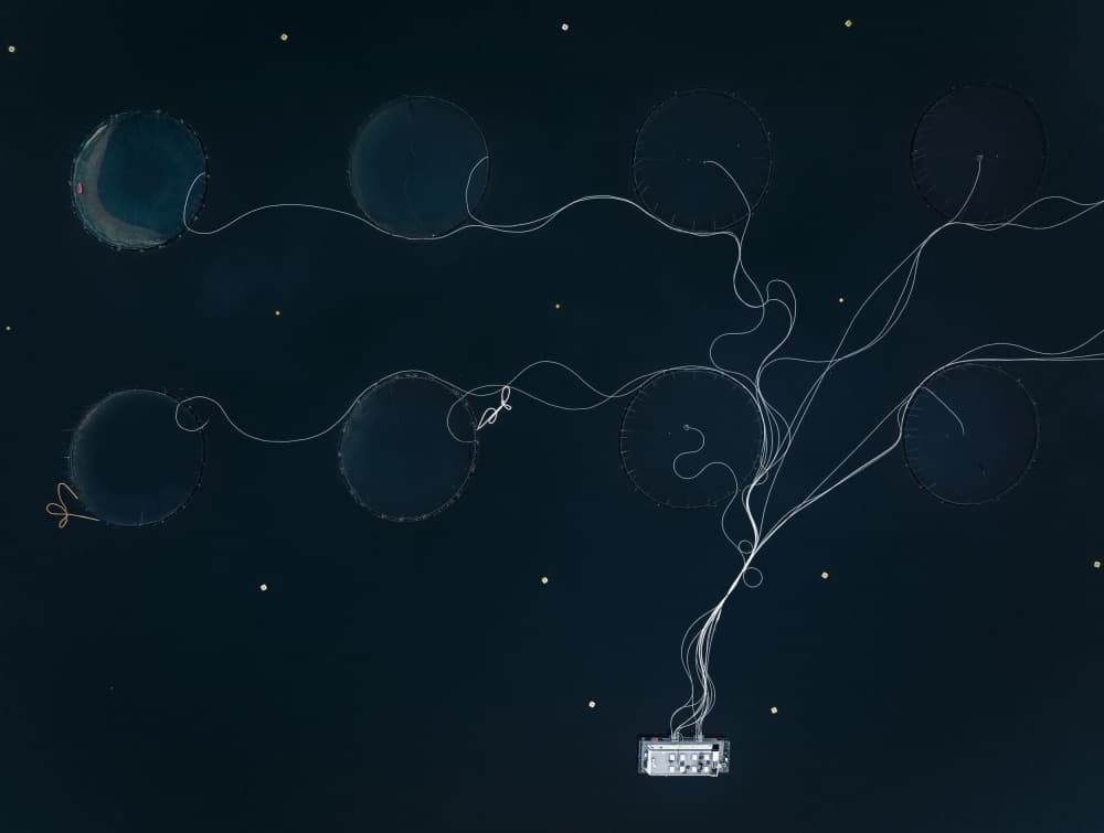 Abstract Ocean Network by Shenshen Dou — canvas wall art