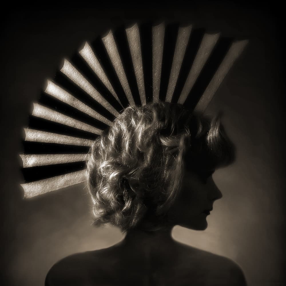 Elegant Profile with Fan by Jan Donckers — canvas wall art